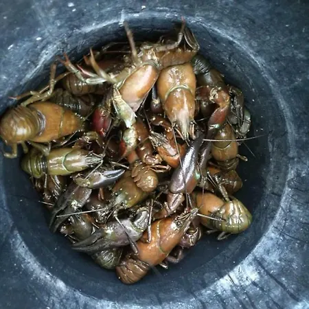 Ferienhaus Antinkallio Lakeside Cape *